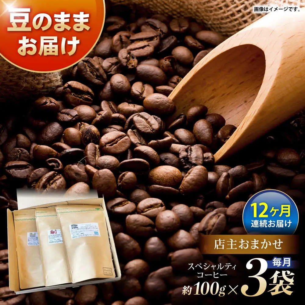 【12回定期便】自家焙煎スペシャルティコーヒーおまかせセット(豆のまま) / スペシャルティコーヒー ブレンド コーヒー / 諫早市 / R and R coffee labo [AHCJ026]