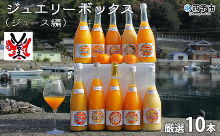 ジュエリーボックス（ジュース編）厳選10本 数量限定 ATI0029