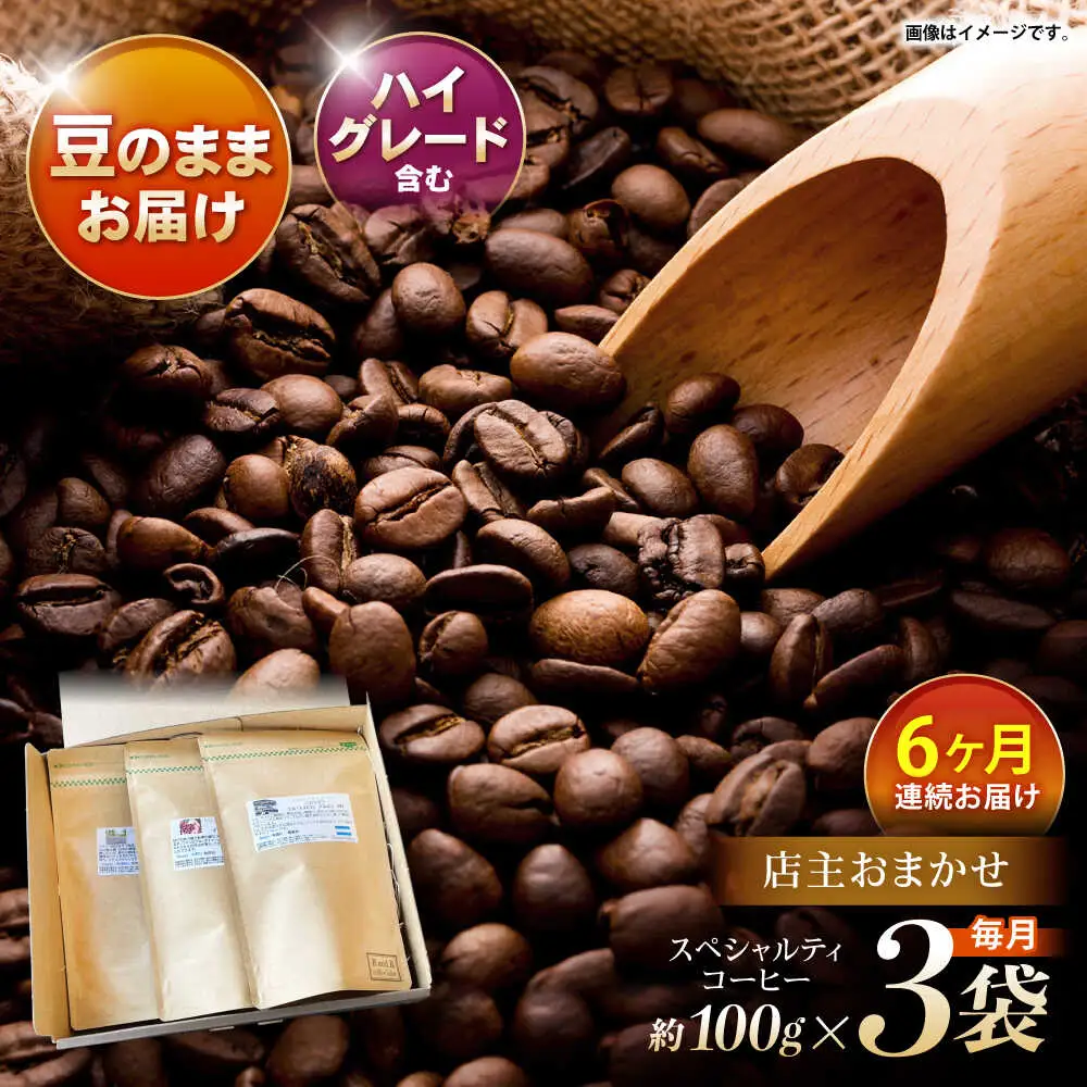 【6回定期便】自家焙煎ハイグレードコーヒーを含むおまかせセット(豆のまま) / ハイグレードコーヒー ブレンド コーヒー 豆 / 諫早市 / R and R coffee labo [AHCJ042]