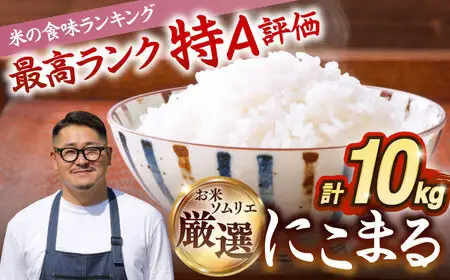 【R7年度産】壱岐産米 にこまる 10kg [JCZ017] 米 お米 ごはん ご飯 にこまる 特A お弁当 30000 30000円 のし プレゼント ギフト 九州