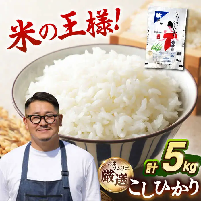 令和8年産米 こしひかり 5kg [JCZ021] コシヒカリ 精米 白米