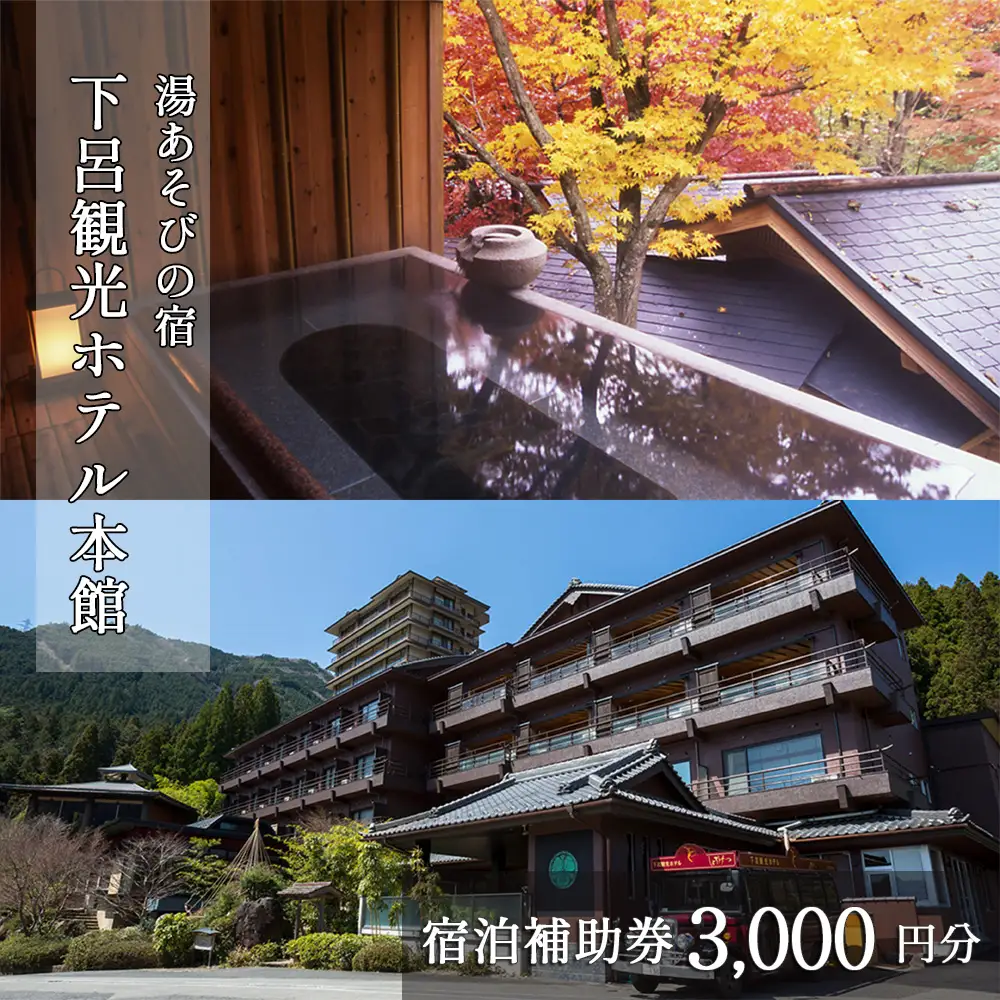下呂温泉【下呂観光ホテル】宿泊補助券(3,000円分）【a013-1】