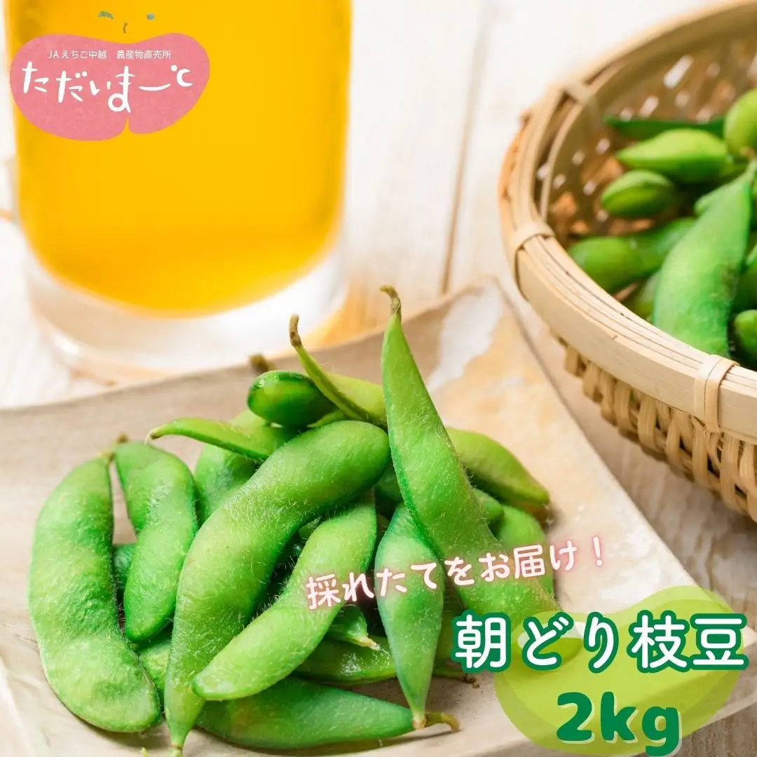 枝豆 2kg 新潟県産 朝どり 枝豆