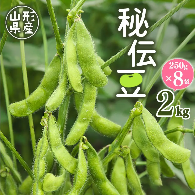 令和8年産 JAの 枝豆「秘伝豆」 2kg（250g×8袋）山形県産 【2026年9月中旬以降発送予定】 ※配送不可 沖縄・離島　012-B-JA015