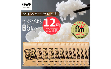 令和7年産 《マイスターセレクト》 さがびより【白米】 5kg×12回 999-B1059 