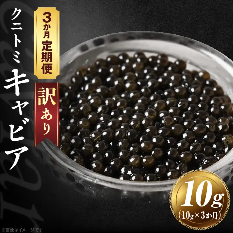 【訳あり】3か月定期便 クニトミキャビア 10g キャビア 国産 国産キャビア 高級 宮崎県産 珍味 おつまみ 酒の肴 家飲み 冷凍 訳あり お取り寄せ グルメ パーティー ワイン シャンパン 記念日 ご褒美 おもてなし 魚卵 宮崎県 国富町