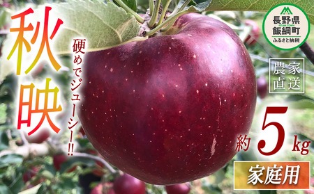 りんご 秋映 家庭用 5kg 丸西農園 沖縄県への配送不可 2026年10月上旬頃から2026年10月中旬頃まで順次発送予定 令和8年度収穫分 特別栽培農産物 ( 除草剤 化学肥料 不使用 ) 信州 果物 フルーツ リンゴ 林檎 長野 予約 農家直送 長野県 飯綱町 [0724]