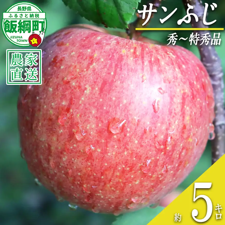 りんご サンふじ 秀 ～ 特秀 5kg 寺島農園 沖縄県への配送不可 2026年11月下旬頃から2027年2月上旬頃まで順次発送予定 令和8年度収穫分 信州 果物 フルーツ リンゴ 林檎 長野 予約 農家直送 長野県 飯綱町 [0313]
