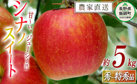 りんご シナノスイート 秀 ～ 特秀 5kg 松橋りんご園 沖縄県への配送不可 2026年10月上旬頃から2026年11月上旬頃まで順次発送予定 令和8年度収穫分 フルーツ リンゴ 信州 長野県 飯綱町 [0129]