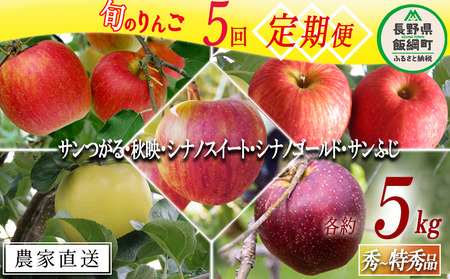 旬のりんご 【 定期便 】 秀 〜 特選 4.5kg 〜 5kg × 5回 松橋りんご園 沖縄県への配送不可 2026年9月上旬頃から2026年12月下旬頃まで順次発送予定 令和8年度収穫分 フルーツ リンゴ 信州 長野県 飯綱町 [0830]