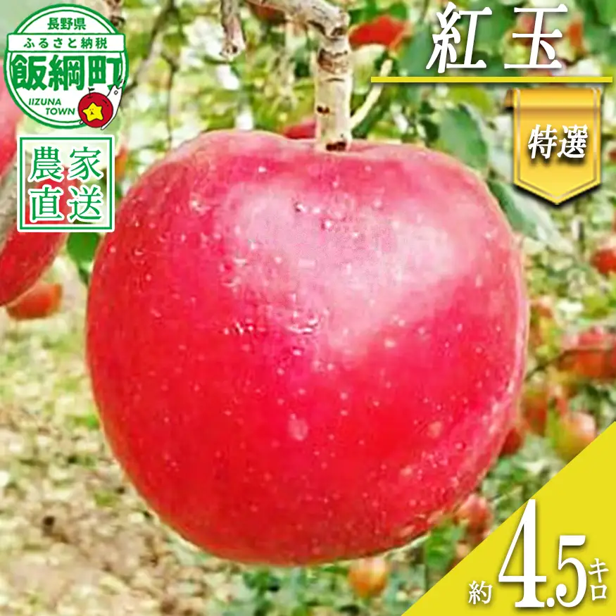 りんご 紅玉 特選 4.5kg やまじゅうファーム 沖縄県への配送不可 2026年10月上旬頃から2026年10月中旬頃まで順次発送予定 令和8年度収穫分 信州の環境にやさしい農産物 減農薬栽培 長野県 飯綱町 [0516]