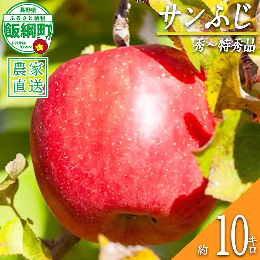 りんご サンふじ 秀 ～ 特秀 10kg 松澤農園 2026年11月下旬頃から2027年2月上旬頃まで順次発送予定 令和8年度収穫分 長野県 飯綱町 [1067]