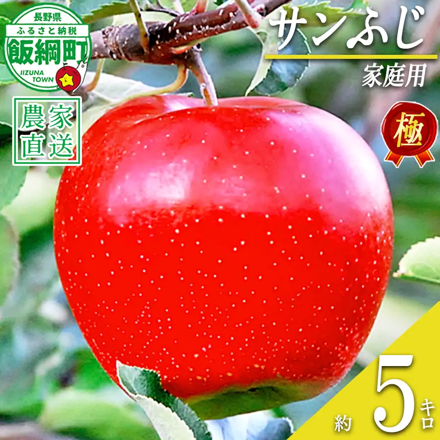 りんご 極み サンふじ 家庭用 5kg こだわりの土作り 松澤農園 沖縄県への配送不可 2026年11月下旬頃から2027年1月中旬頃まで順次発送予定 令和8年度収穫分 長野県 飯綱町 [1339]