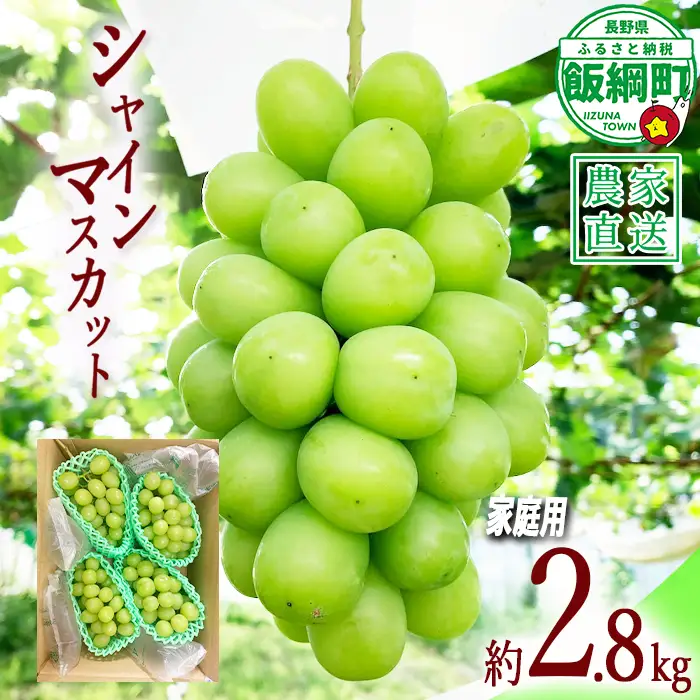 ぶどう シャインマスカット 家庭用 ( お徳用 ) 約 2.8kg ファームトヤ 配送先は本州限定 2026年9月中旬頃から2026年10月上旬頃まで順次発送予定 令和8年度収穫分 信州 果物 フルーツ ブドウ マスカット 葡萄 長野 予約 農家直送 長野県 飯綱町 [1418]