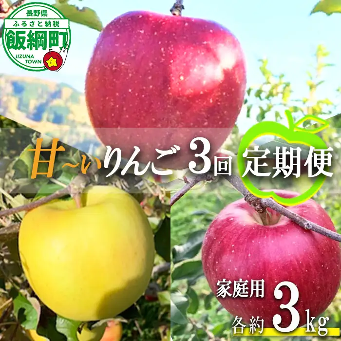 旬の甘いりんご 【 定期便 】 家庭用 3kg × 3回 ( シナノスイート ぐんま名月 サンふじ ) ファームトヤ 沖縄県への配送不可 2026年10月中旬頃から2026年12月下旬頃まで順次発送予定 令和8年度収穫分 信州 果物 フルーツ リンゴ 林檎 長野 予約 農家直送 長野県 飯綱町 [1428]