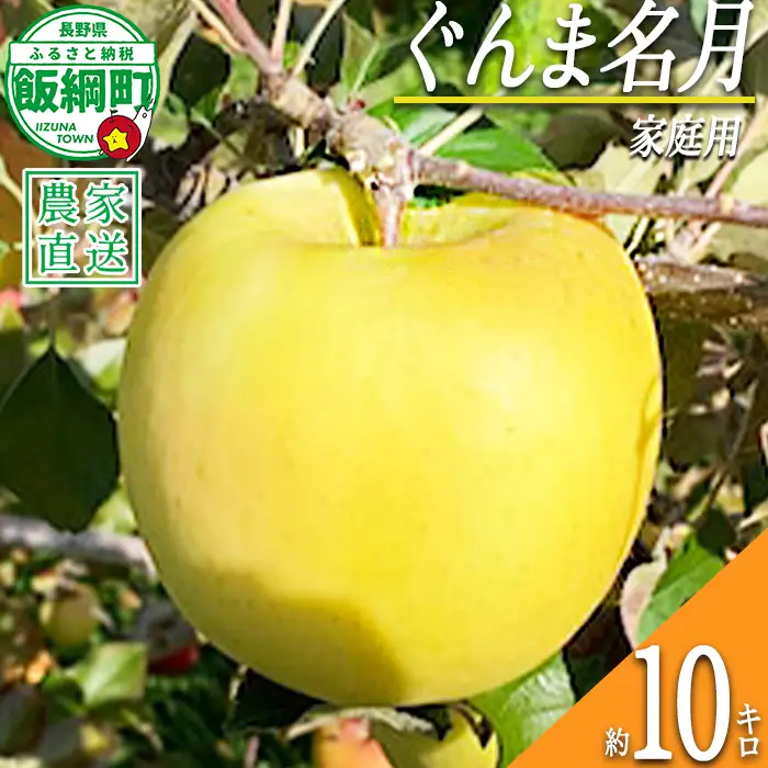 りんご ぐんま名月 家庭用 10kg ファームトヤ 2026年11月中旬頃から2026年12月下旬頃まで順次発送予定 令和8年度収穫分 信州 果物 フルーツ リンゴ 林檎 名月 長野 予約 農家直送 長野県 飯綱町 [1425]
