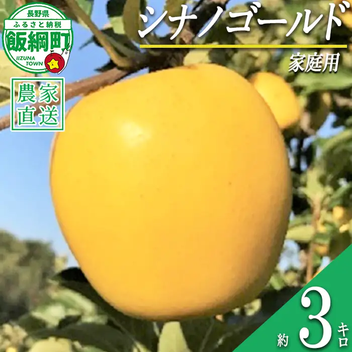 りんご シナノゴールド 家庭用 3kg ファームトヤ 沖縄県への配送不可 2026年11月中旬頃から2027年1月上旬頃まで順次発送予定 令和8年度収穫分 信州 果物 フルーツ リンゴ 林檎 長野 予約 農家直送 長野県 飯綱町 [1422]