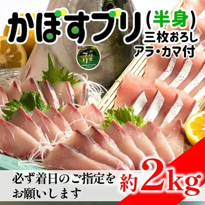 【先行予約】うすき産かぼすブリ・半身（約2kg弱）[冷蔵]　着日指定