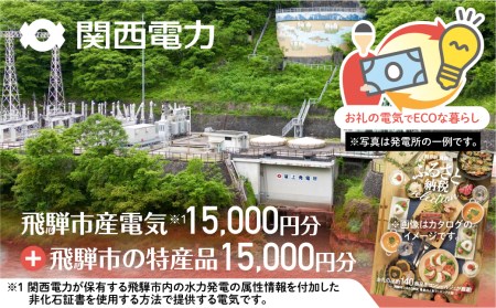 ふるさとＥＣＯプラン from 飛騨市　水と森ゆたかな岐阜県飛騨市産のＣＯ2フリーの電気と飛騨市の特産品カタログ[GA500]