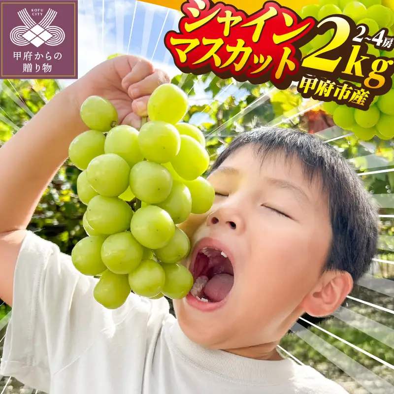 〈2026年度配送分〉山梨県甲府市産シャインマスカット2kg(2房～4房)C