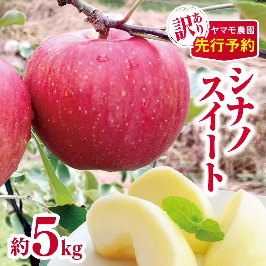 訳あり シナノスイート 約5kg 【2026年先行予約】 | ヤマモ農園