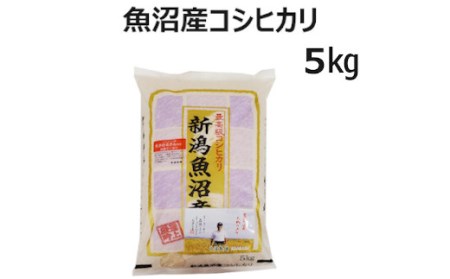 ※使用しない r05-010-058 魚沼産コシヒカリ　5㎏（安達農場）白米 魚沼 米