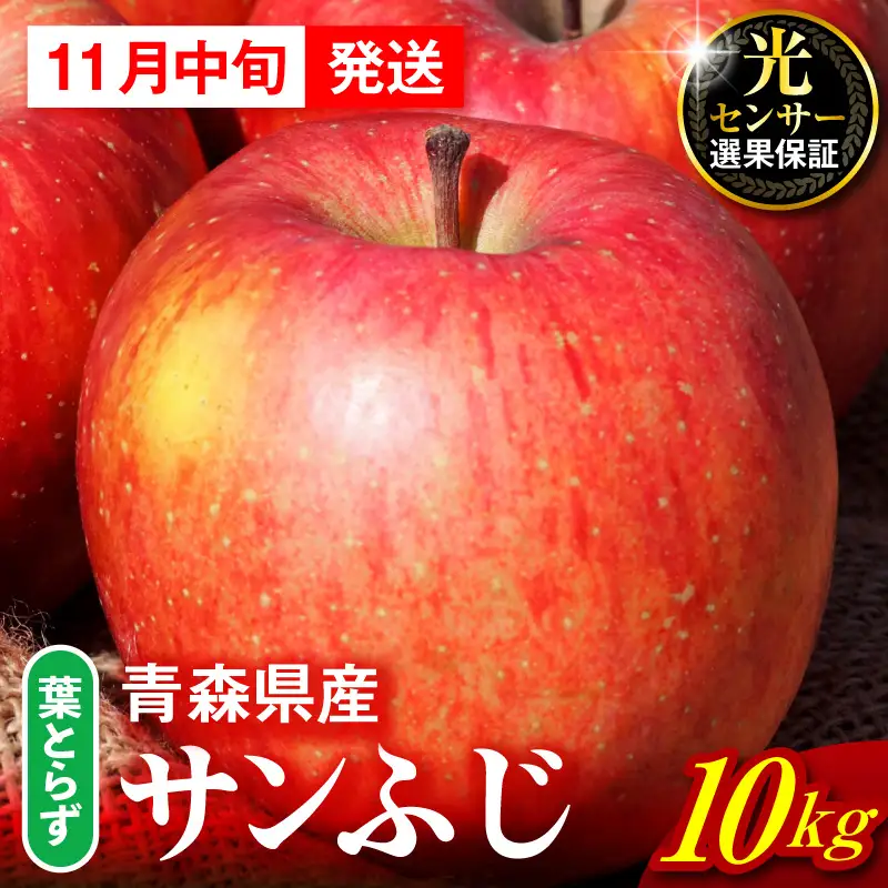 【2026年11月中旬発送】りんご 葉取らずサンふじ 10kg 程度 青森りんご