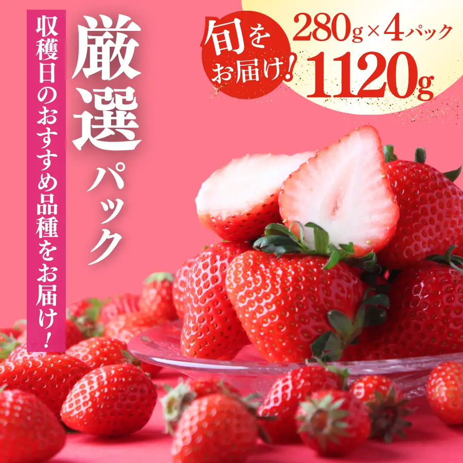いちご【2027年発送】厳選 4パック×280g 完熟いちご