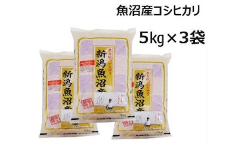 ※使用しない r05-025-008 魚沼産コシヒカリ5㎏×3袋（15㎏）