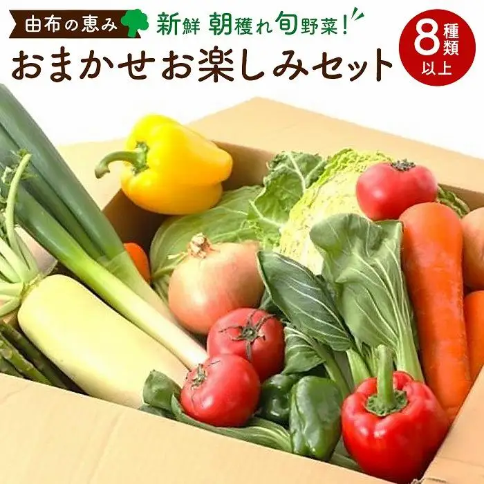 由布の恵み【新鮮 朝穫れ旬野菜！8種類以上！】おまかせお楽しみセット | 野菜