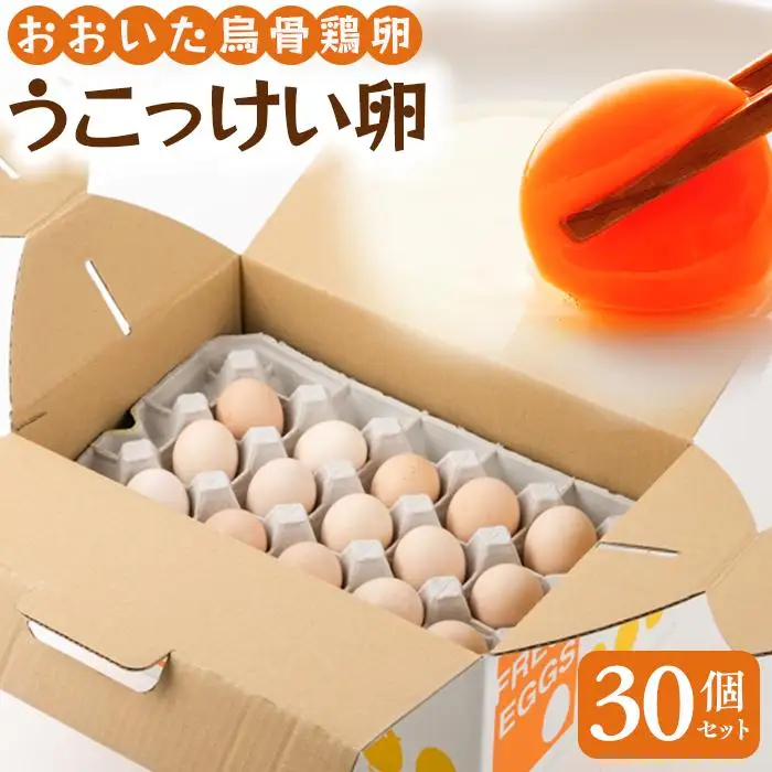 大分うこっけい卵（生食用３０個） | 卵 烏骨鶏