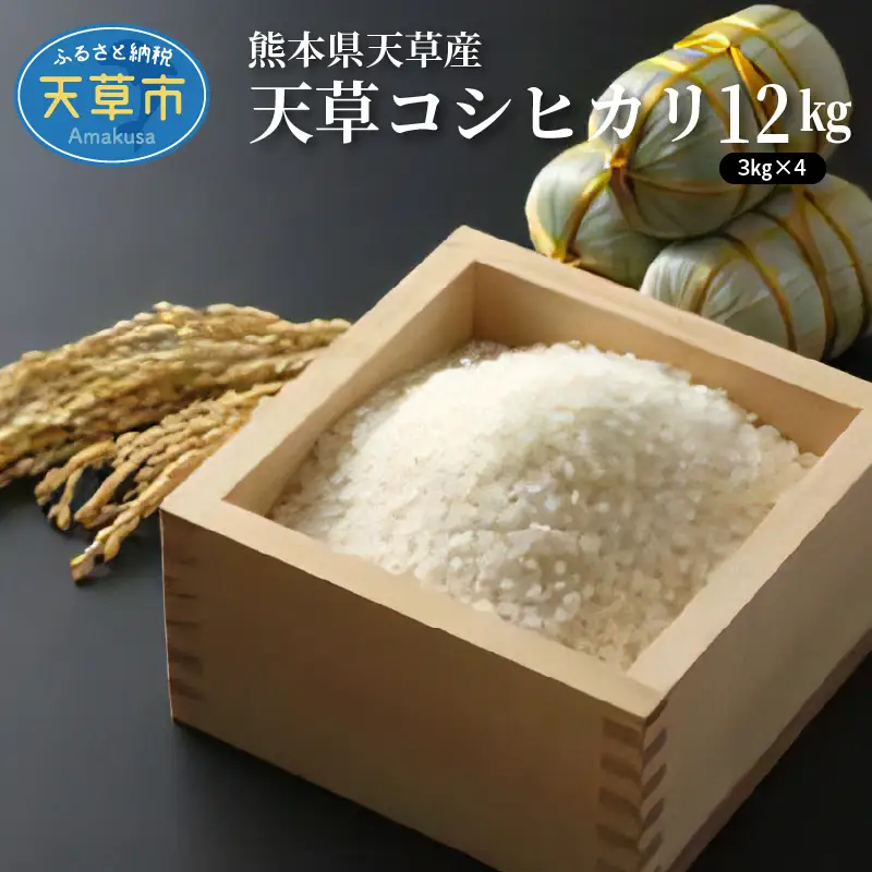 S109-004A_〈令和8年産〉熊本県天草産 天草コシヒカリ12kg（3kg×4） 【先行予約】 新米 令和8年産 コシヒカリ 12kg 精米 3kg × 4袋 単一原料米 国産 米 お米 白米 甘み 香り ツヤ 粘り バランス 美味しい ごはん おにぎり 弁当 おむすび 土作り こだわり 小分け 冷蔵庫 保管可能 お取り寄せ 食品 九州 熊本県 天草市 送料無料