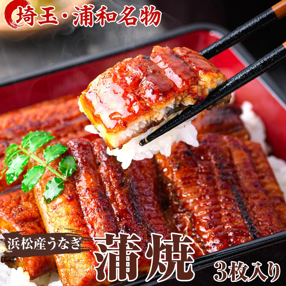 【中村家】浜松産うなぎ　かば焼　3枚入【11100-0151】