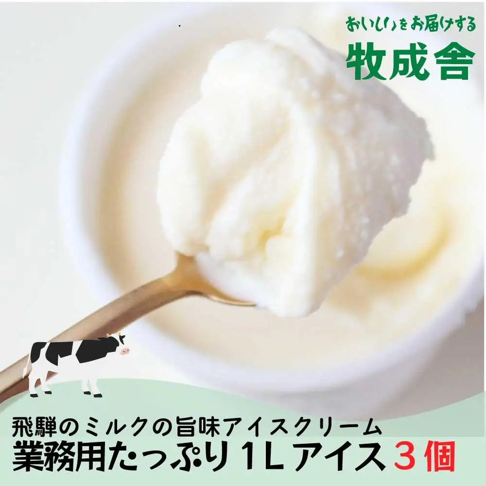 業務用 アイスクリーム 1L×3種 アイス DF007 訳あり