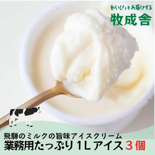 業務用 アイスクリーム 1L×3種 アイス DF007 訳あり