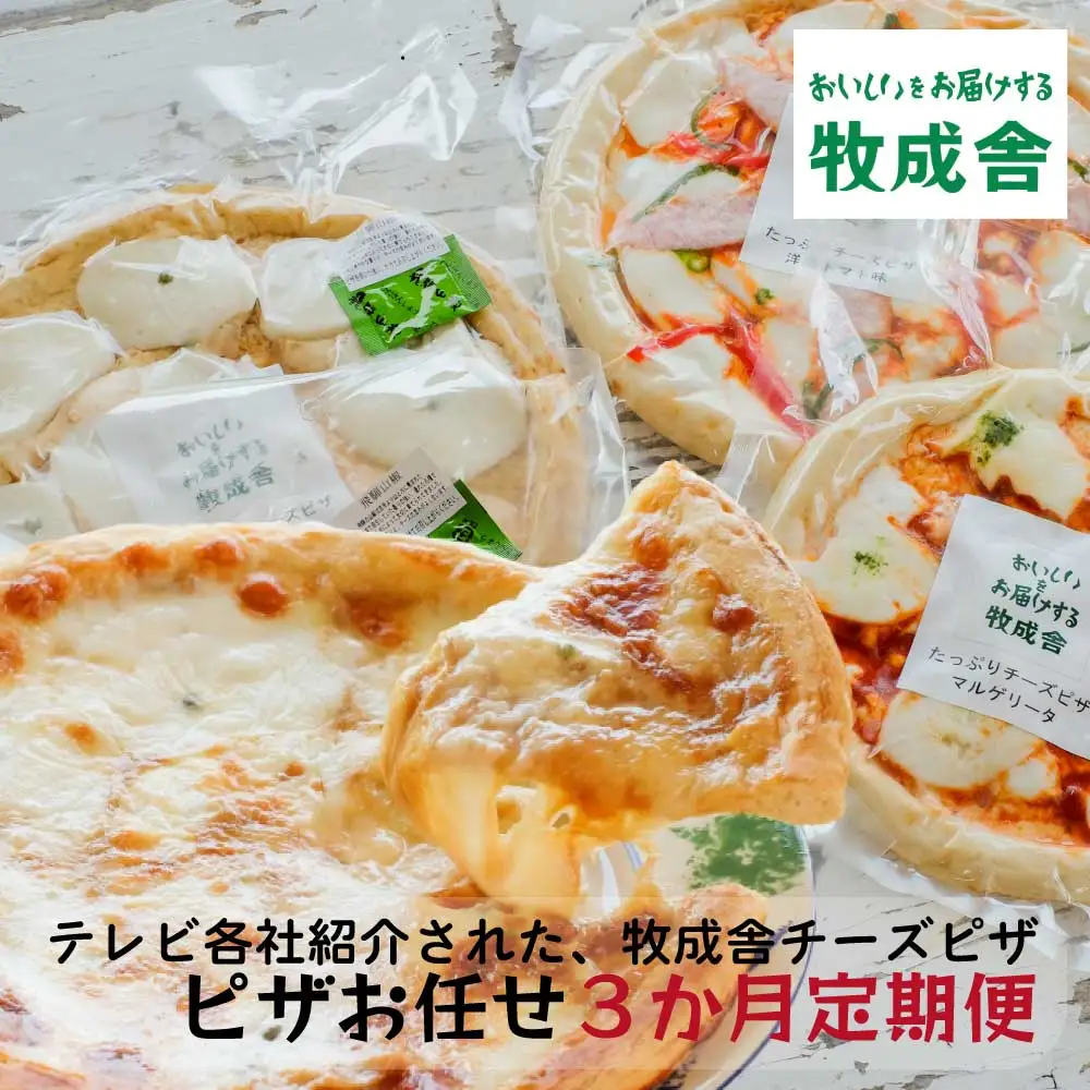 ＜牧成舎定期便 3カ月＞チーズたっぷりピザセット 種類お任せ 定期便 モッツアレラチーズ ピザ DF114