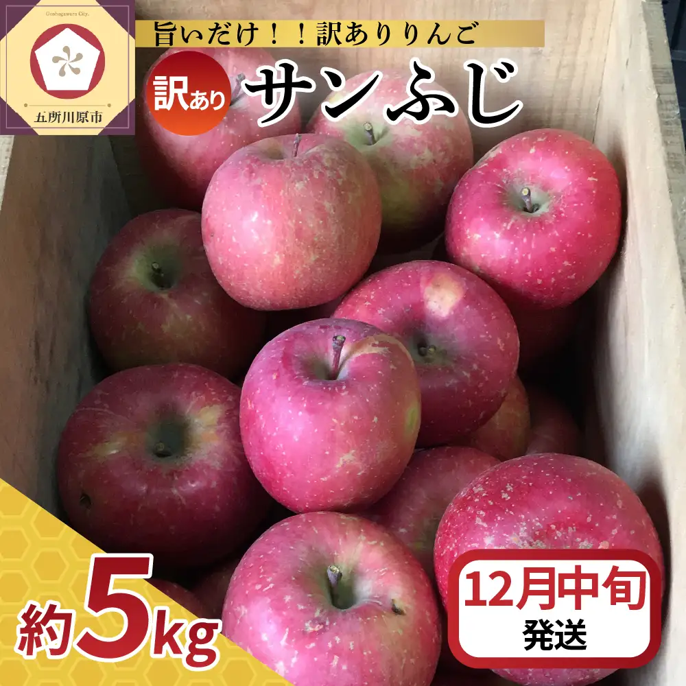 【2026年12月中旬発送】【訳あり】 りんご 約5kg サンふじ 青森県産 りんご