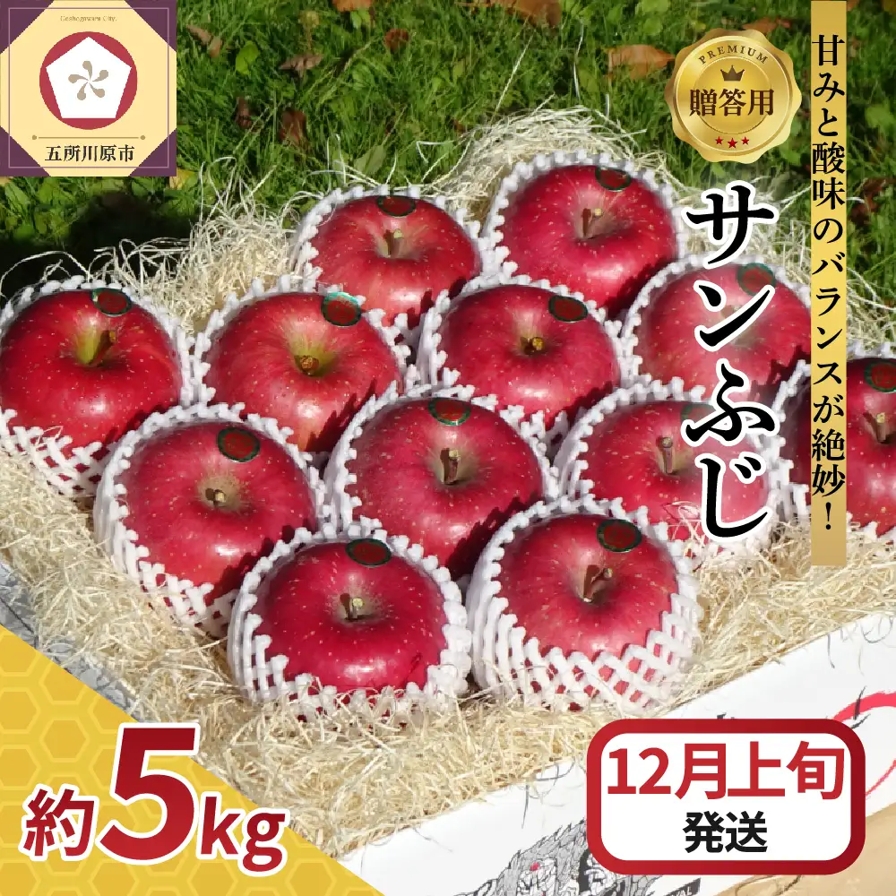 【2026年12月上旬発送】【贈答用】 りんご 5kg サンふじ 青森県産 りんご