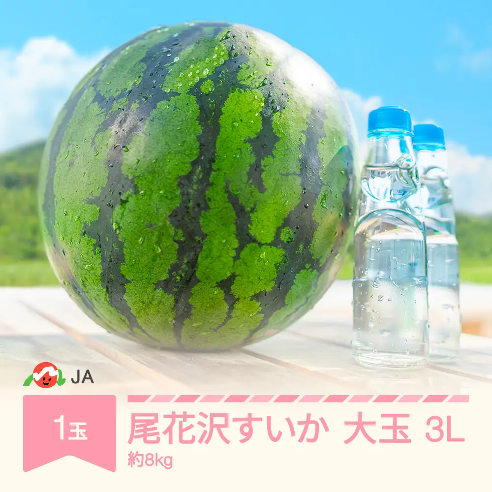 【先行予約】 大玉 尾花沢すいか 3L×1玉入り 令和8年産 2026年産 ja-suo1x3 ※沖縄・離島への配送不可
