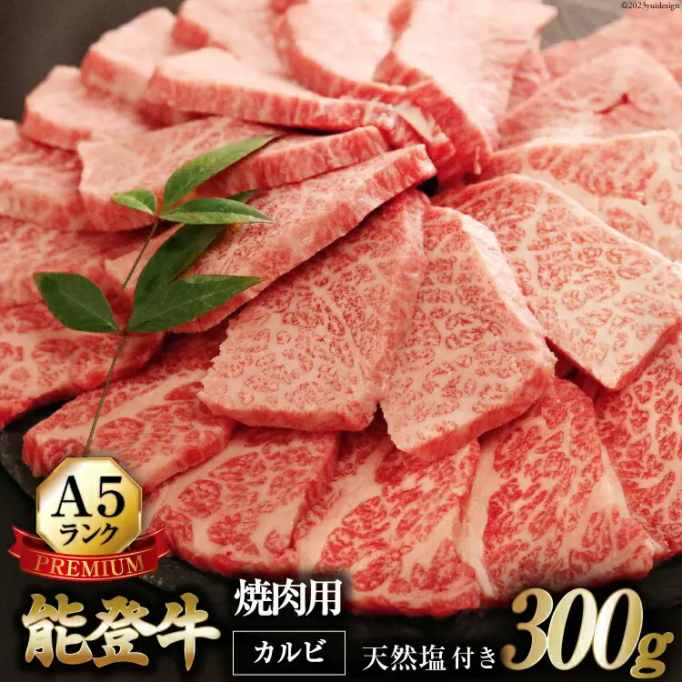 【てらおかの能登牛】極上能登牛カルビ(A5P)焼肉用(300g)