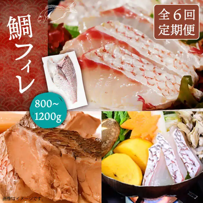 【全6回定期便】壱岐産 鯛 フィレ 800gから1.2kg [JDT034]