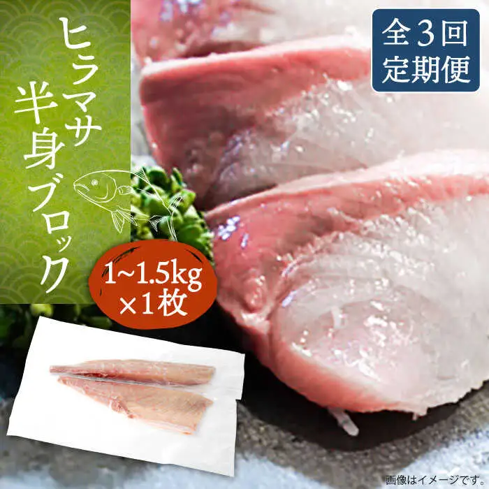 【全3回定期便】壱岐産 ヒラマサフィレ 約1から1.5kg（半身）[JDT039]