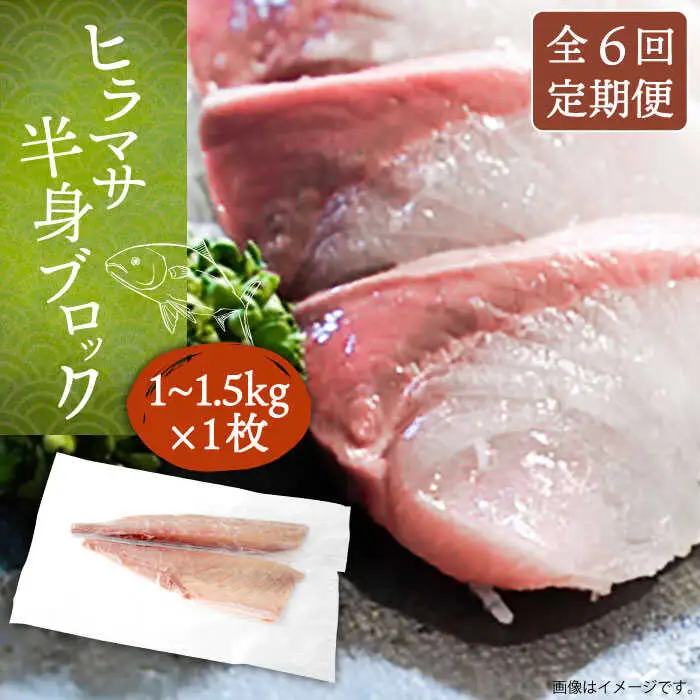 【全6回定期便】壱岐産 ヒラマサフィレ 約1から1.5kg（半身）[JDT040]
