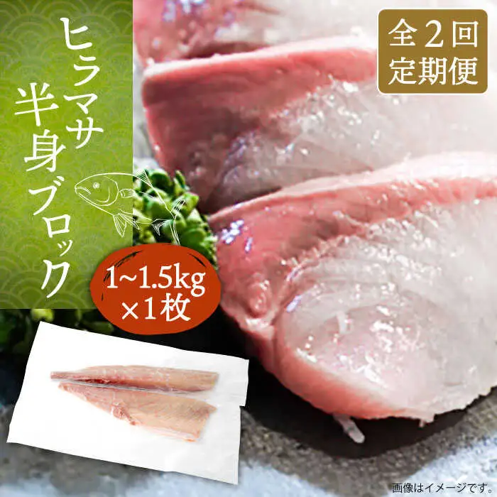 【全2回定期便】壱岐産 ヒラマサフィレ 約1から1.5kg（半身）[JDT070]