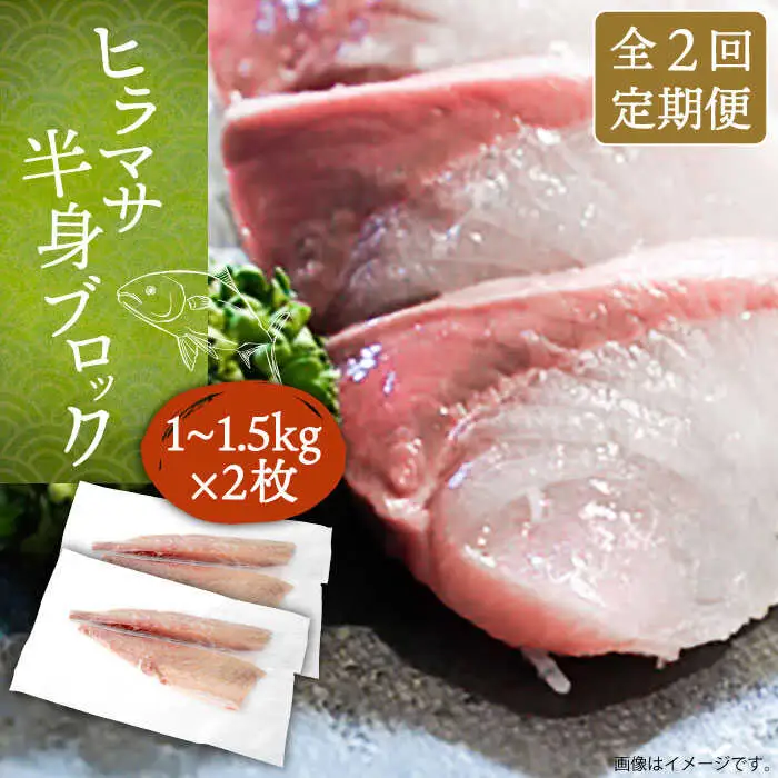 【全2回定期便】壱岐産 ヒラマサ フィレ 2kgから3kg（半身×2枚・刺身用）[JDT071]
