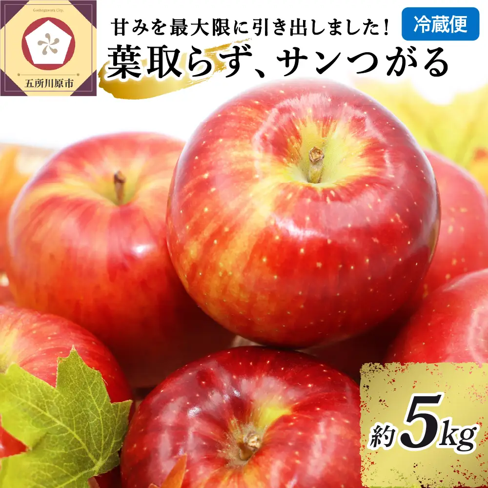 【9月発送】 りんご 5kg 葉とらず サンつがる 青森県産 りんご