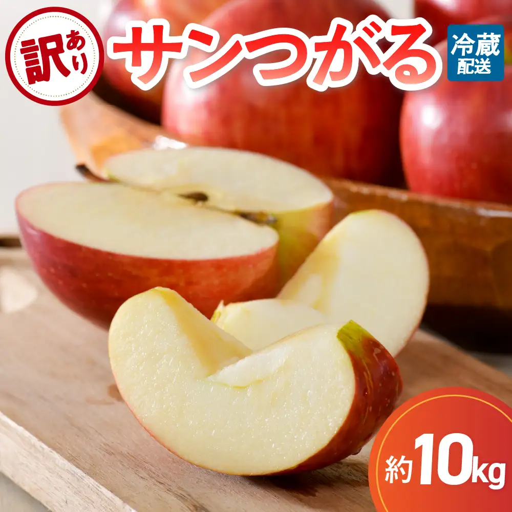 【9月発送】 訳あり りんご 10kg サンつがる 青森県産 りんご