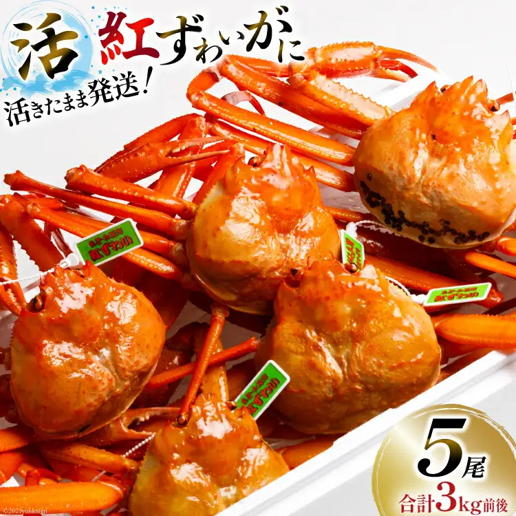 【能登半島 漁協直送】 活 紅ズワイガニ (中サイズ） 5尾 計3kg前後