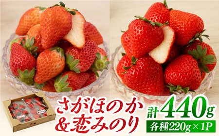 【先行予約 2027年1月～発送】食べ比べ！恋みのり＆さがほのか 各220g  いちご
