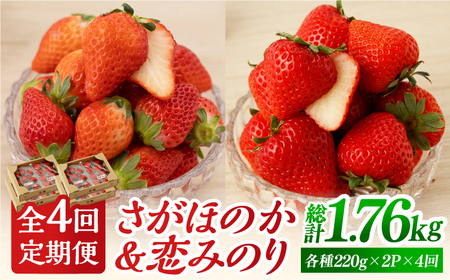 【先行予約 2027年1月以降発送】【4回定期便】食べ比べ！恋みのり＆さがほのか 定期便 / いちご [IBH008]